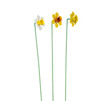 Daffodil Stick