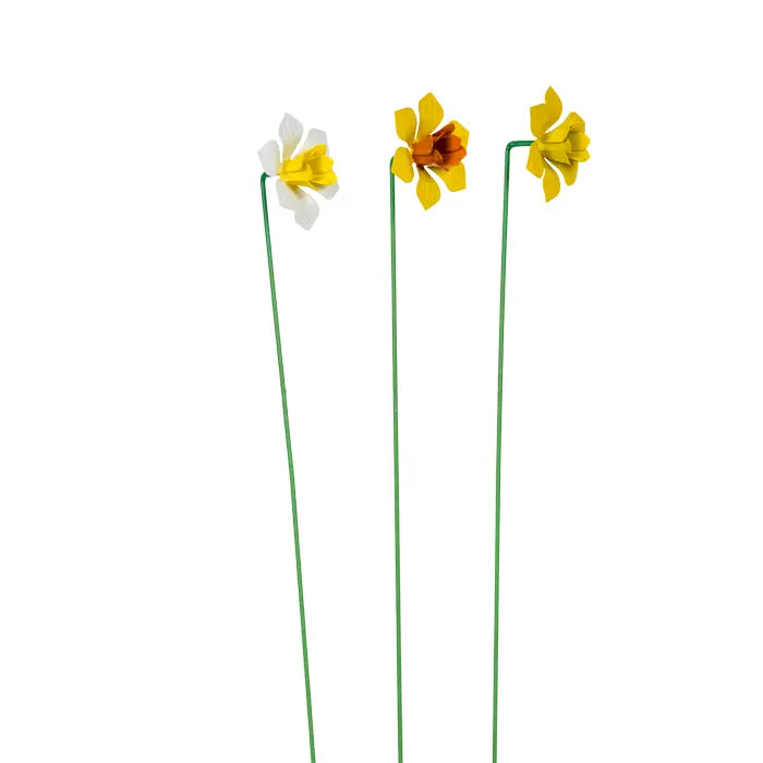 Daffodil Stick