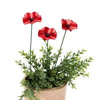 Poppy Stick