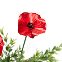 Poppy Stick