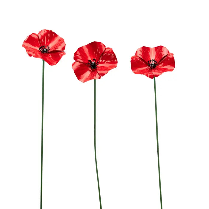 Poppy Stick