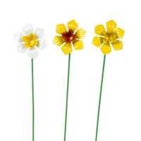 Daffodil Stick