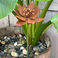 Large Rustic Lily