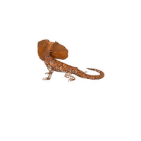 Frilled Neck Lizard Small