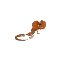 Frilled Neck Lizard Small