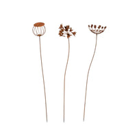 Wildflower Mixed Pack