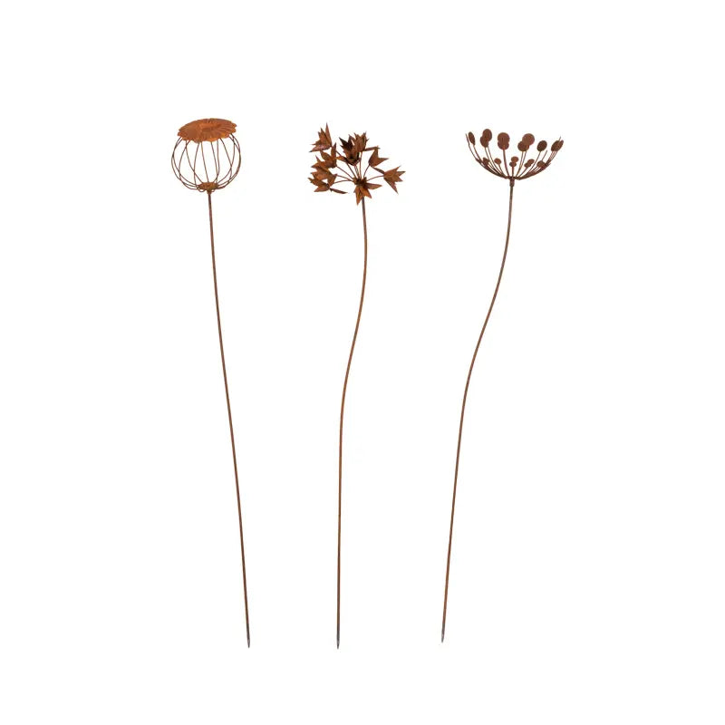 Wildflower Mixed Pack