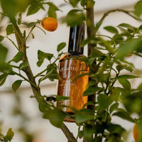 Otways Room Mist | Bush Botanicals