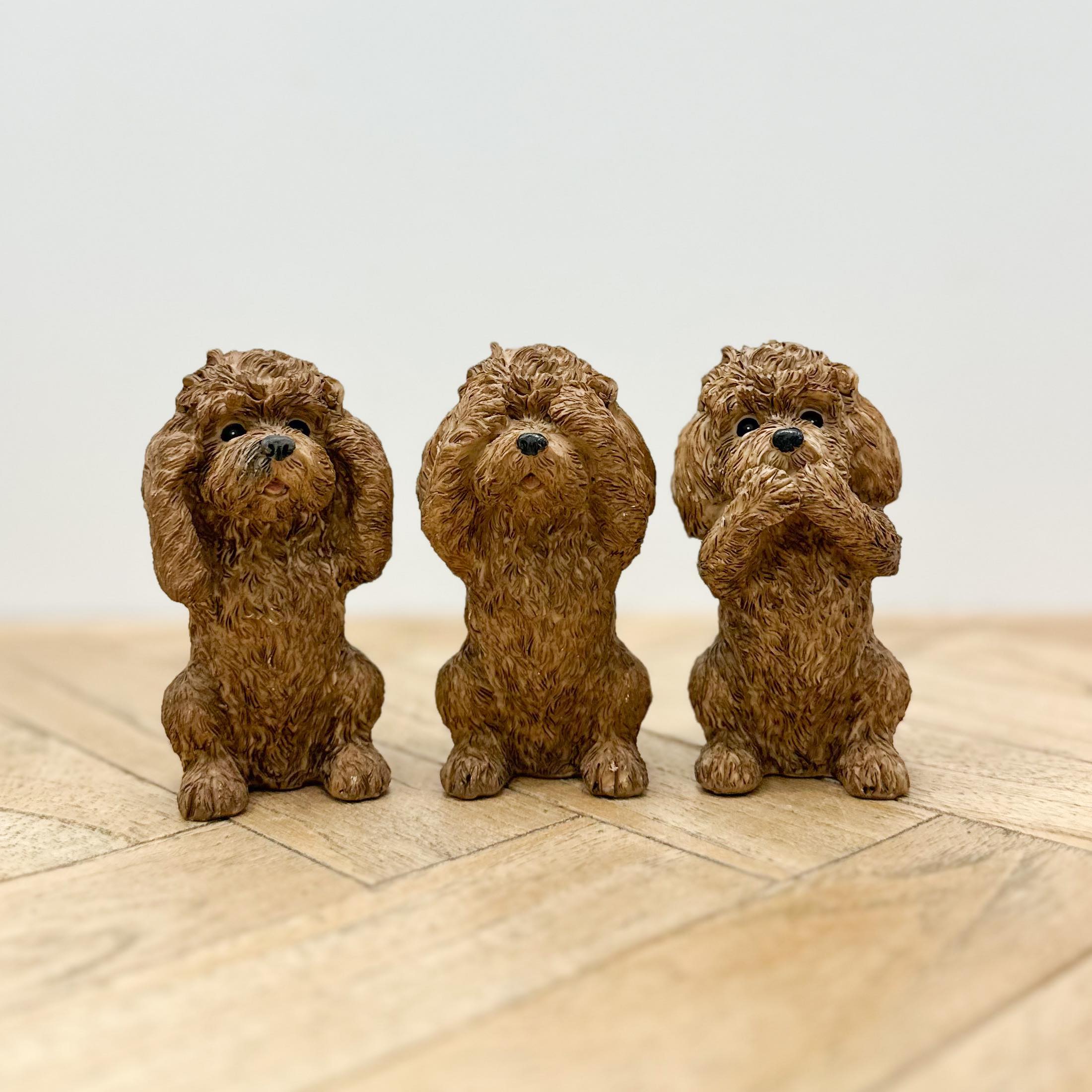 Hear No See No Speak No Evil | Cavoodle