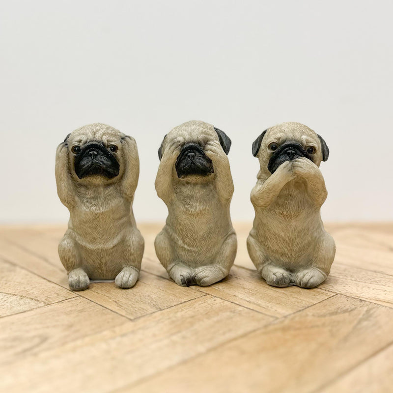 Hear No See No Speak No Evil | Pug