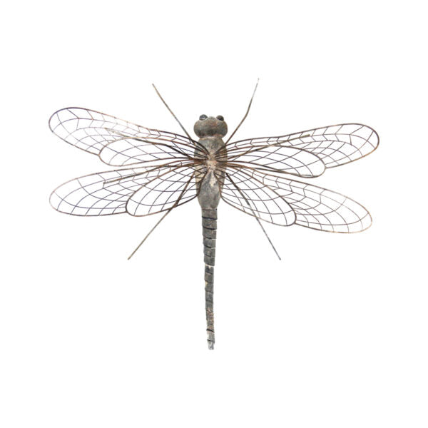 Natures Art Dragonfly Wall Art