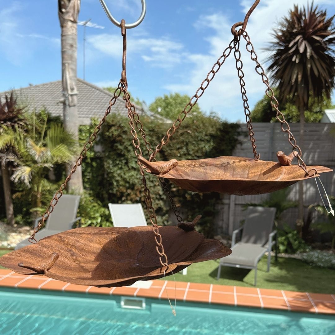 Hanging Bird Feeders