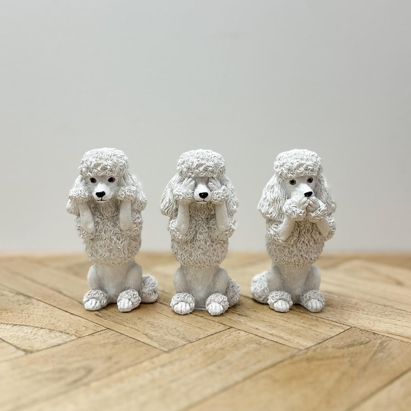 Hear No See No Speak No Evil | Poodle