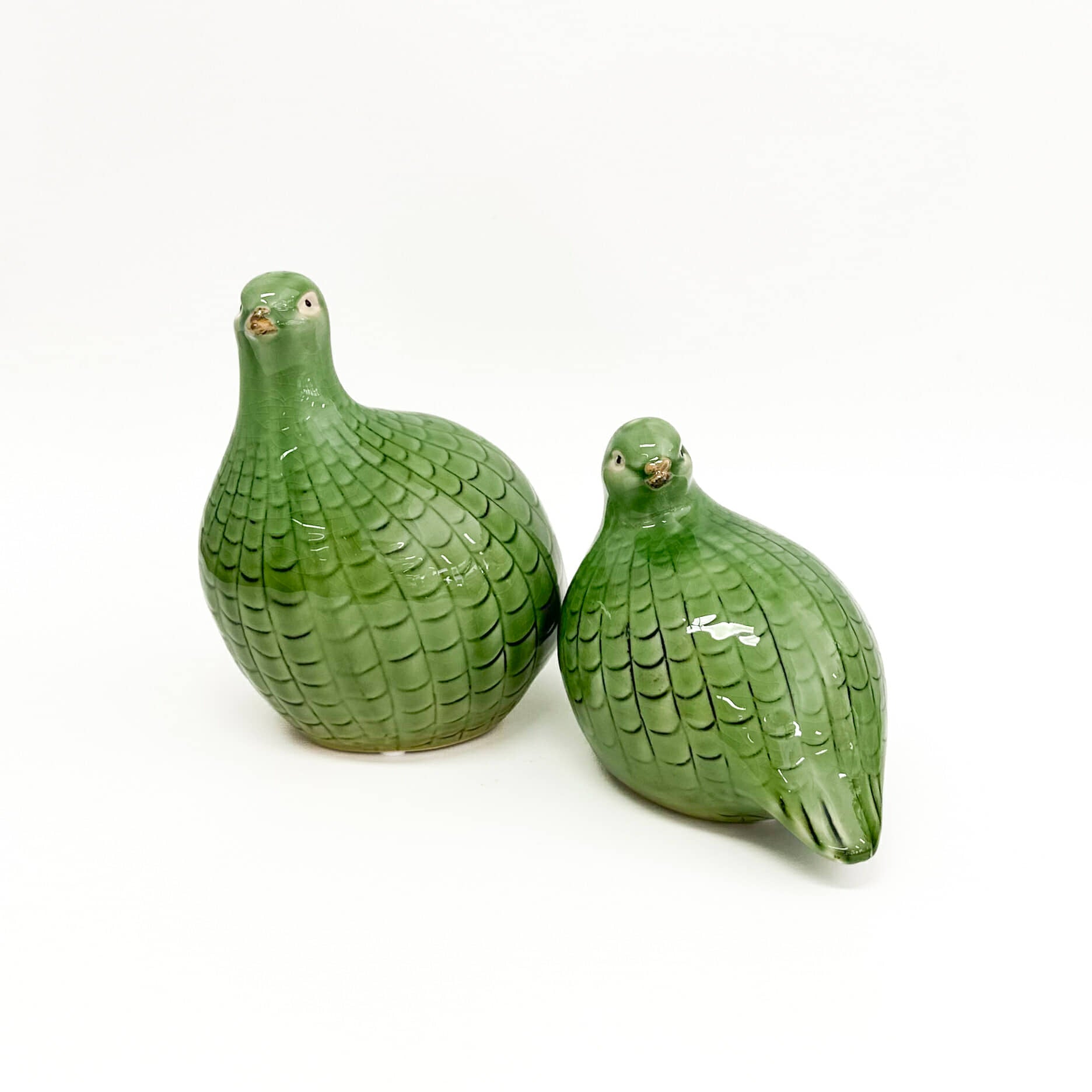 Guinea Fowl