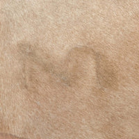 Caramel Cowhide 2 | Floor Rug