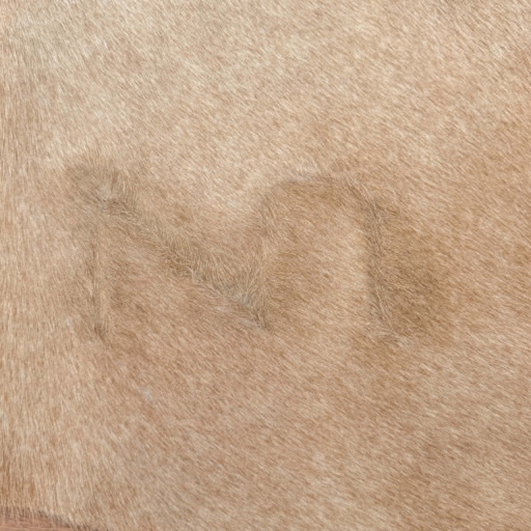 Caramel Cowhide 2 | Floor Rug