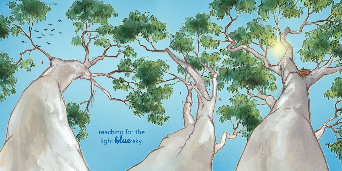 On a Bushwalk