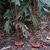 Trio Bulrush Rust Garden Stake