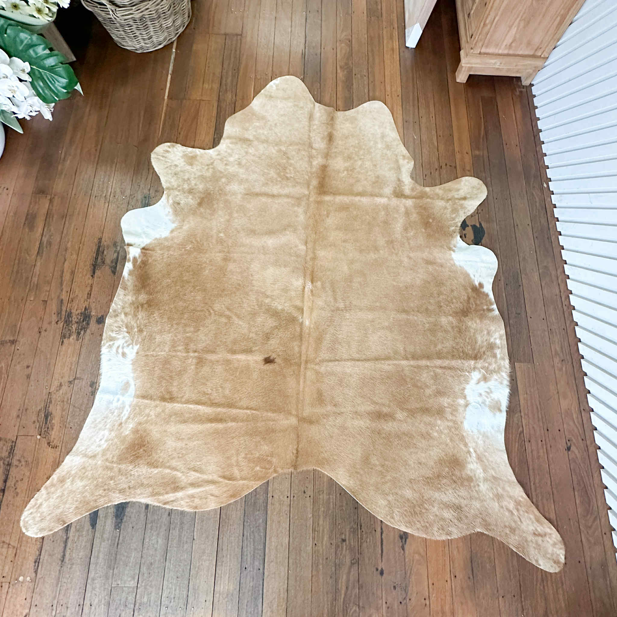 Caramel Cowhide 41 | Floor Rug