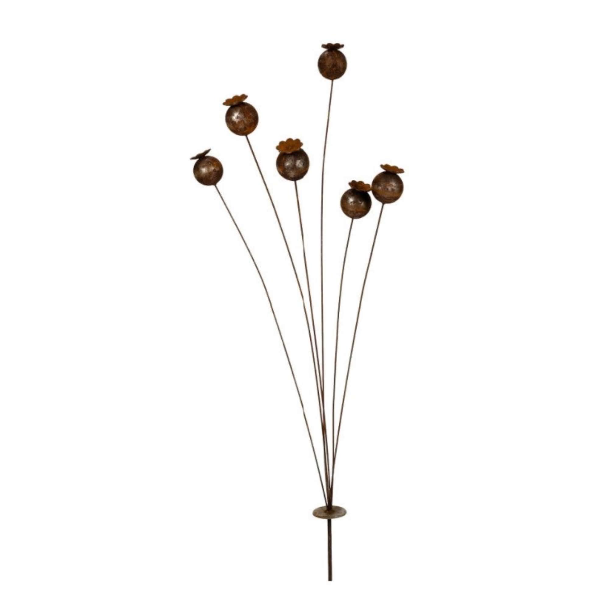 Stake Poppy Head Rust