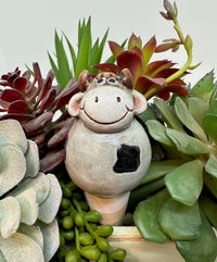 Ceramic Farm Garden Watering Spikes