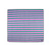 Spring Stripe Picnicware