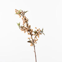 Berry Spray | Natural