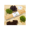 Window Sill Herb Garden Grow Kit