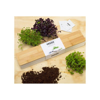 Window Sill Herb Garden Grow Kit