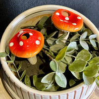 Assorted Mushroom Watering Spikes