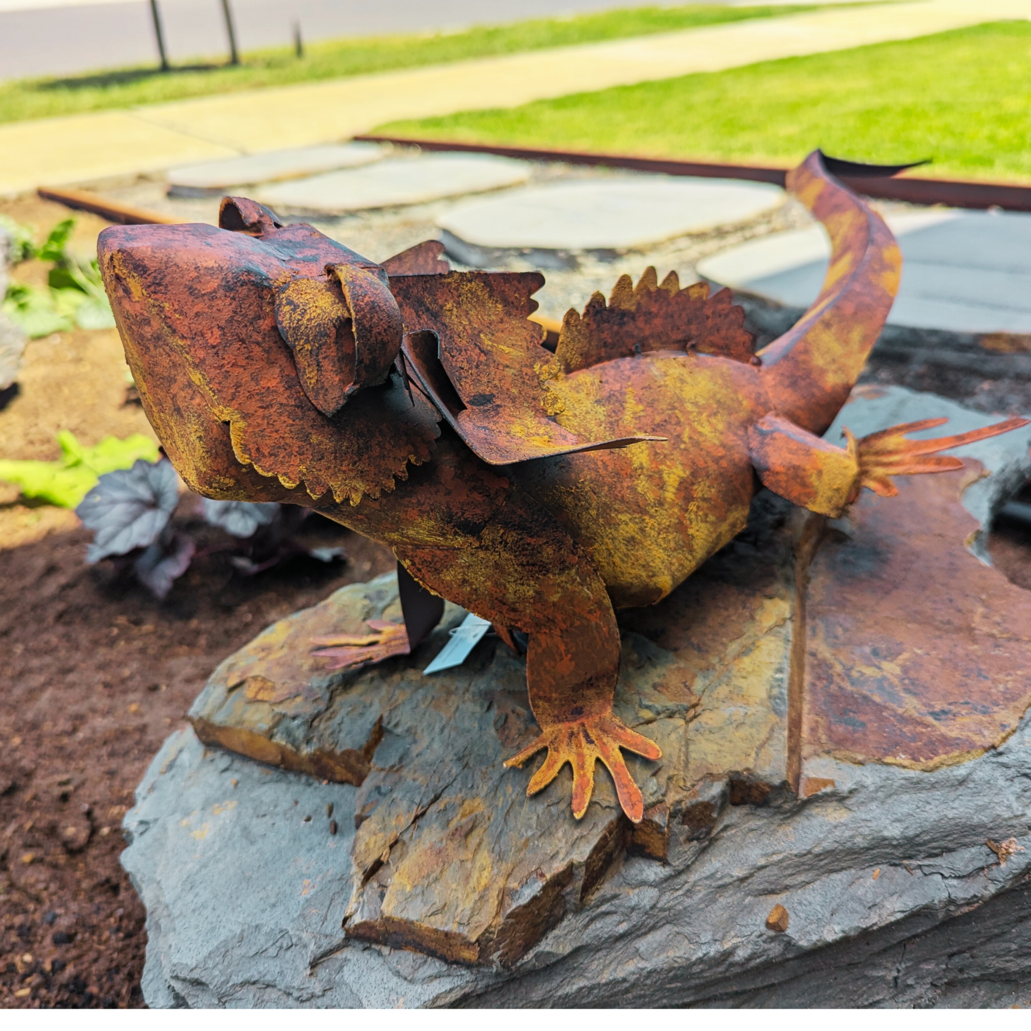 Rusty Lizards