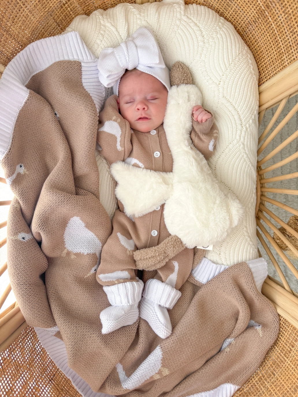 Little Goose | Onesie