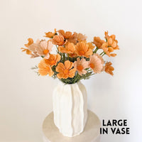 Cosmos Arrangement