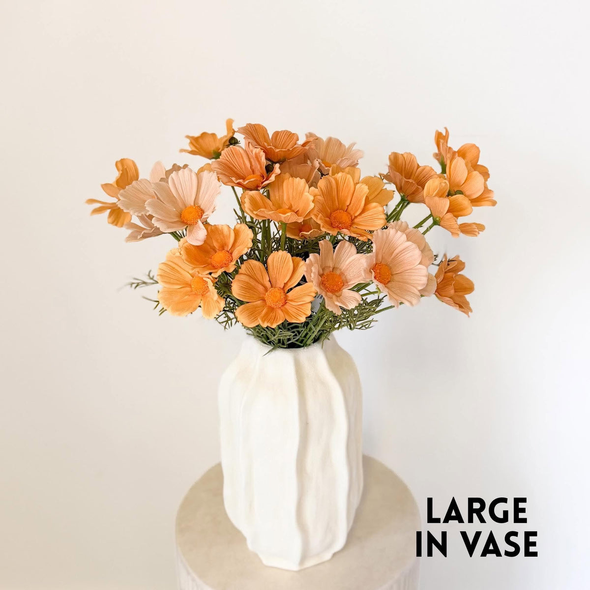 Cosmos Arrangement