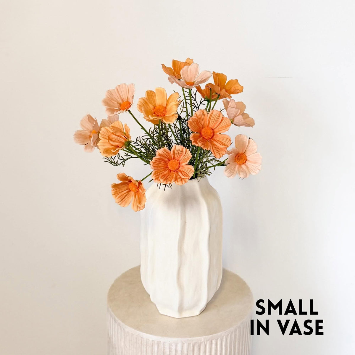 Cosmos Arrangement