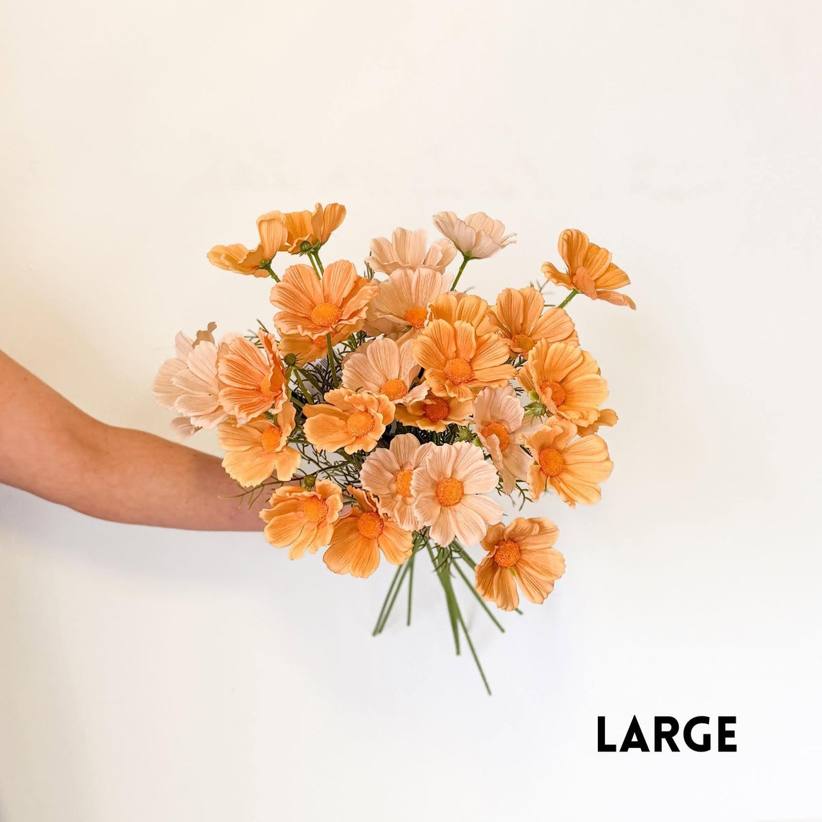Cosmos Arrangement
