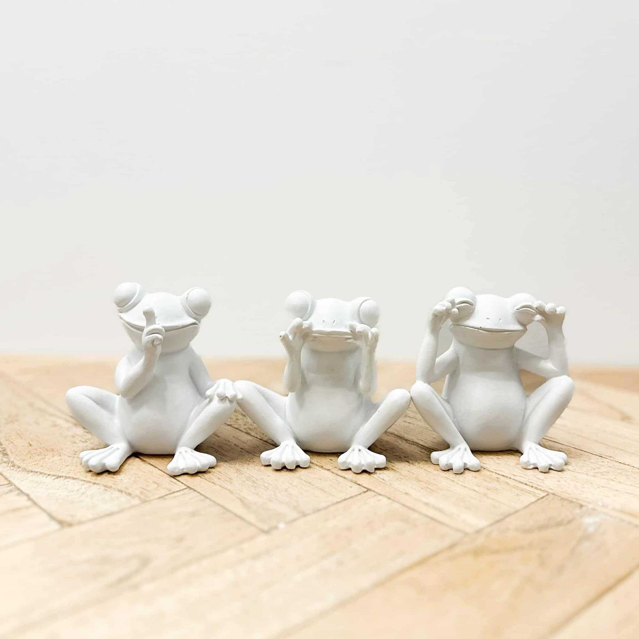 Hear No See No Speak No Evil | Frogs