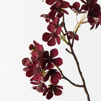 Begonia Spray Burgundy