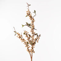 Berry Spray | Natural