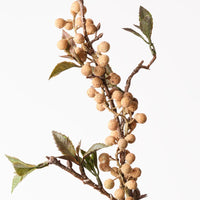 Berry Spray | Natural