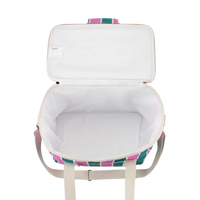 Spring Stripe Picnicware