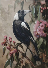 Magpie With Pink Gum Nuts Brushed Canvas Print