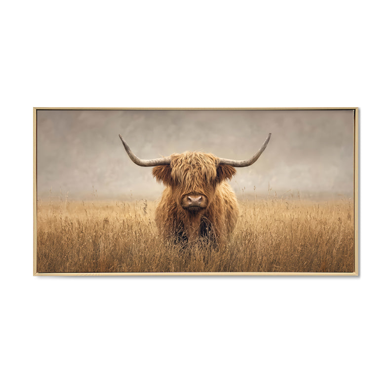 Misty Dawn Highlander Brushed Canvas Print