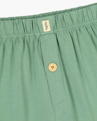 Mens Bamboo Jersey Boxer Short Sage