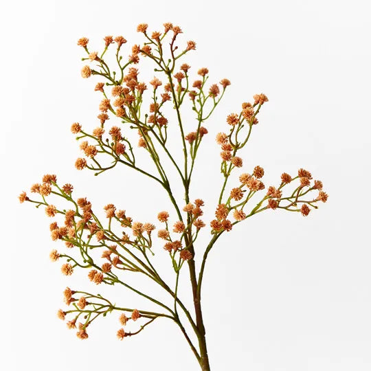 Babys Breath Spray | Orange