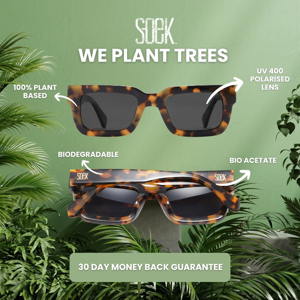 Harper Ombre Brown l Bio Acetate Sunglasses l Brown Graduated Polarised Lens