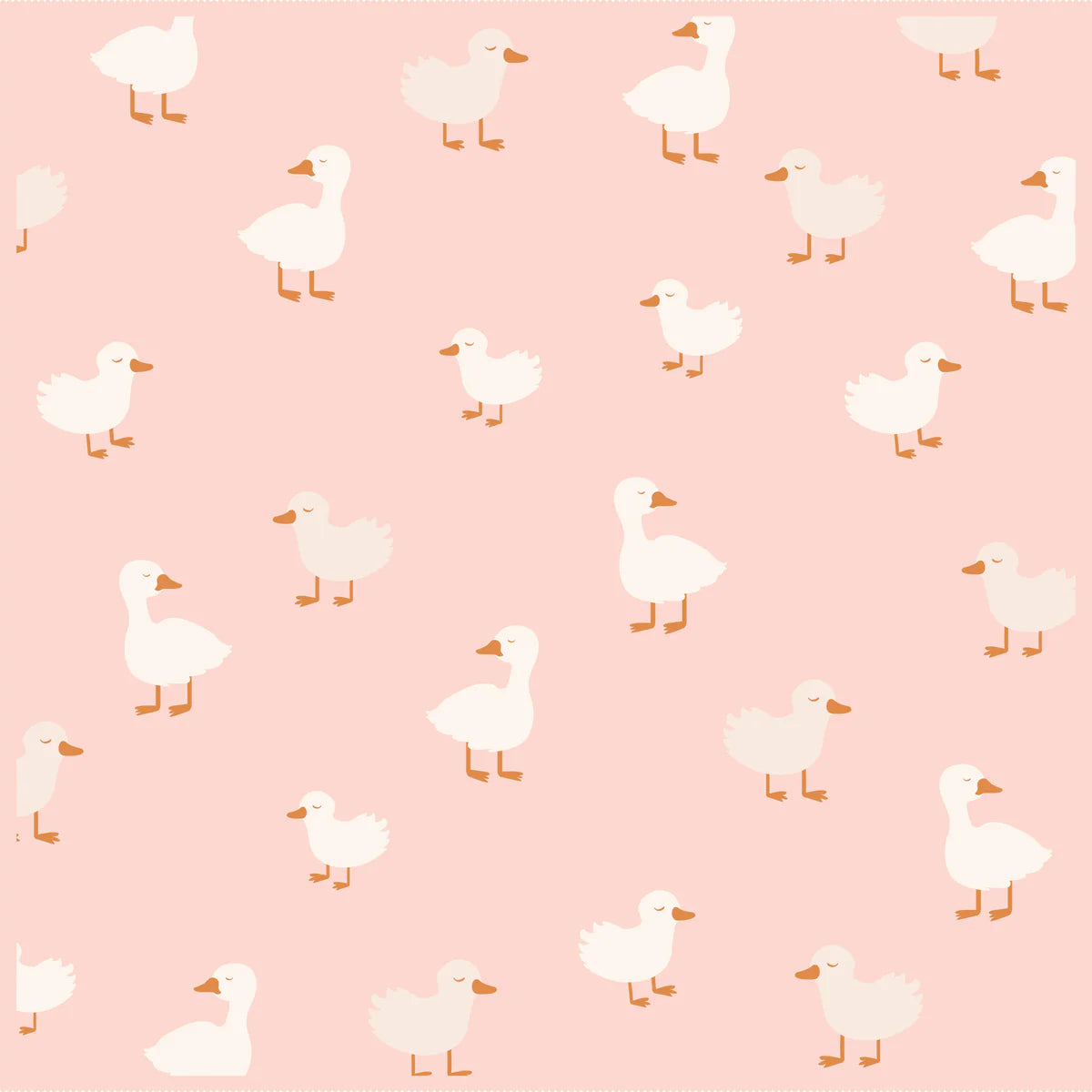 Pink Ducks Blanket