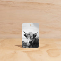 Car Air Freshener | Hudson Valley