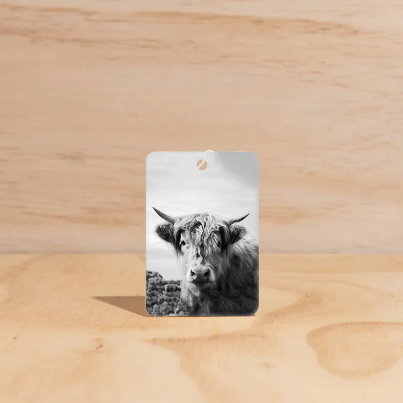 Car Air Freshener | Hudson Valley