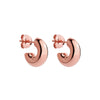 Moonbow Stud Earrings | Rose Gold